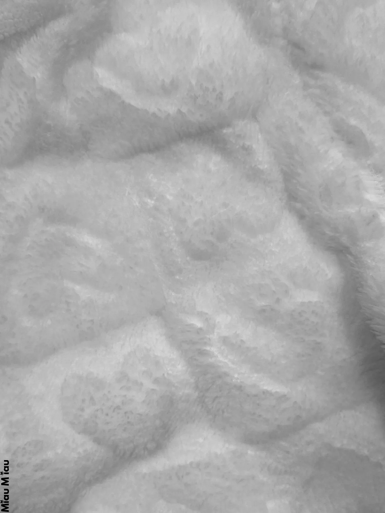 CECI0398 1 PIEZA 1630